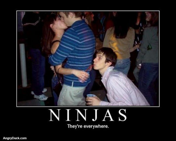 Ninjas Are Everywhere