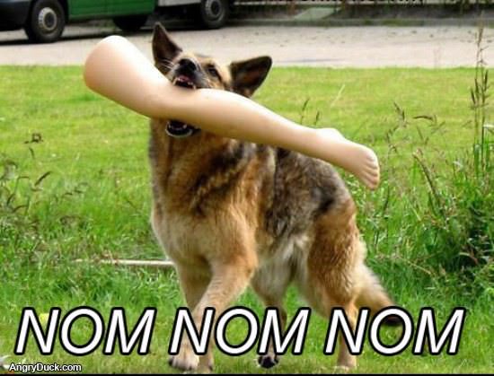 Nom Nom Fetch
