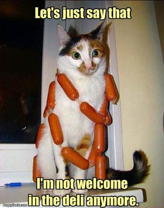 Not Welcome Lolcat