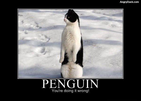 Penguin