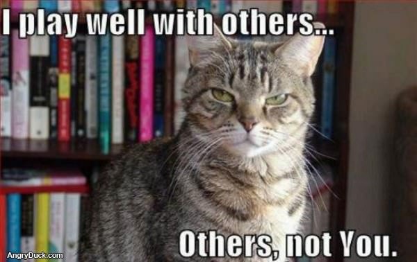 Play Well with Others