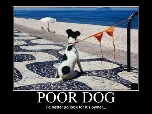 Poor Dog