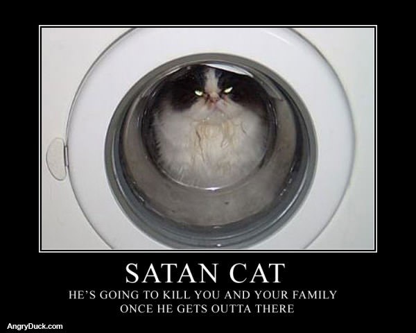 Satan Cat