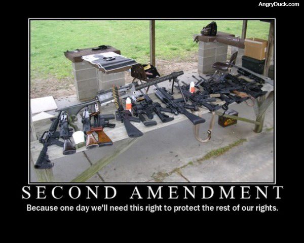 Second Amendment