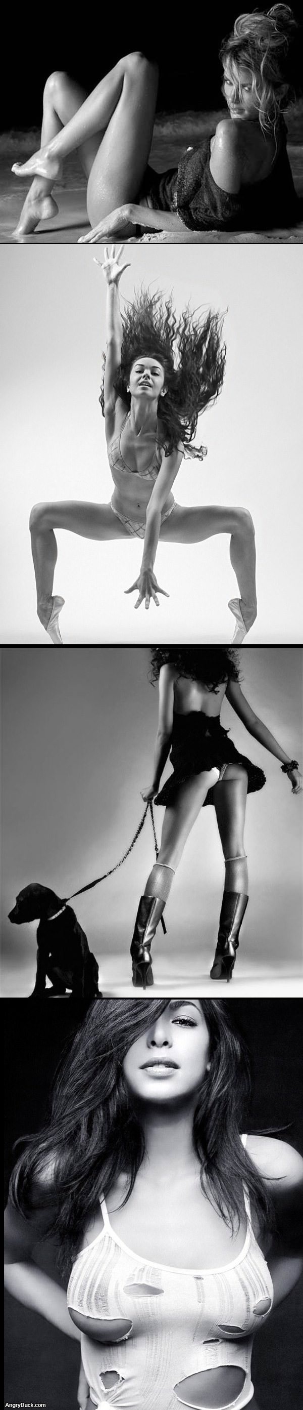 Sexy Black and White