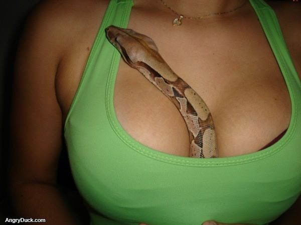 She Has a Snake