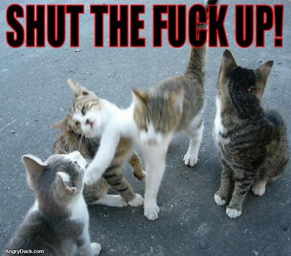 Shut the Fuck Up