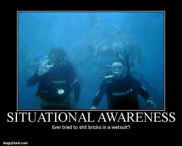Situational Awareness
