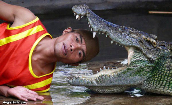 Smartest Person Alive