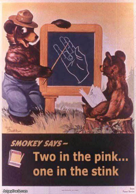 Smokey Says