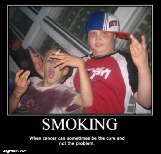 Smoking is the Cure