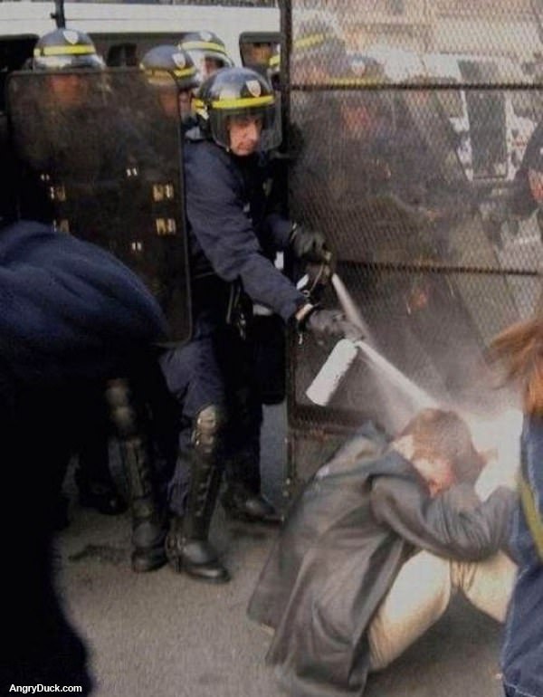 Stand up Again I Dare You