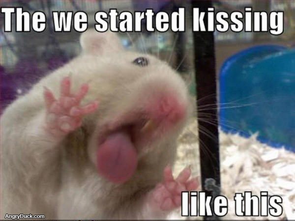 Started Kissing