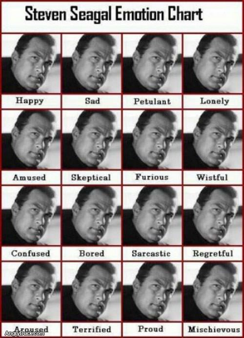 Steven Seagal Chart