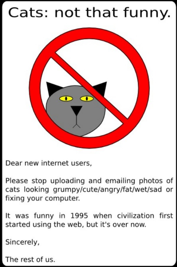 Stop with Cats