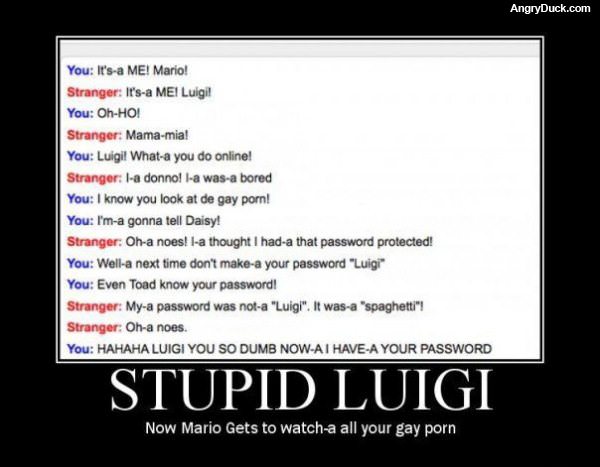 Stupid Luigi