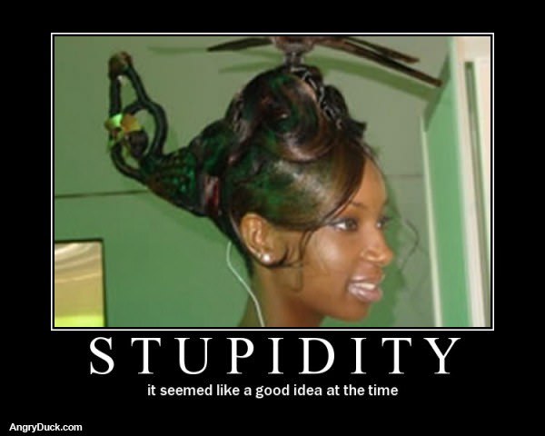 Stupidity Copter