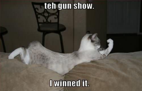 Teh Gun Show