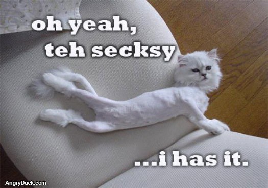 Teh Secksy