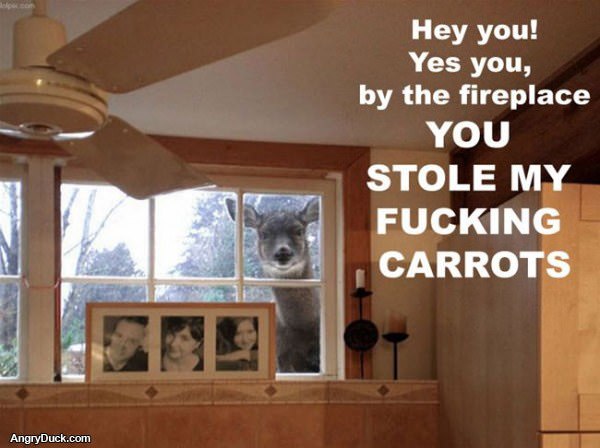 That Deer Looks Pissed