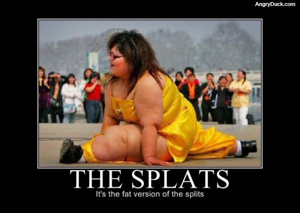 The Splats