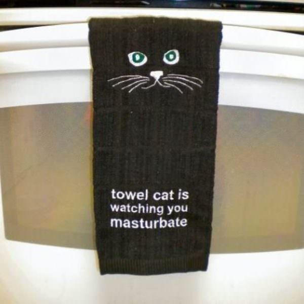 Towel Cat