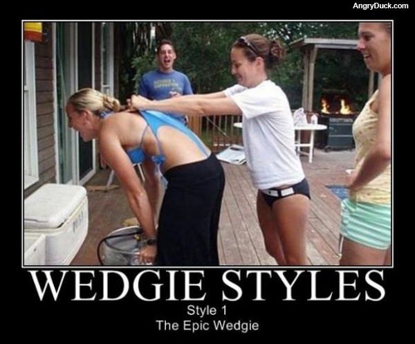 Wedgie Styles
