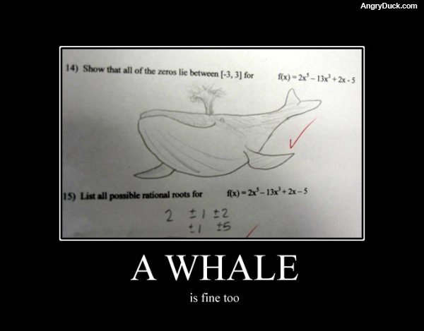 Whale Will Do