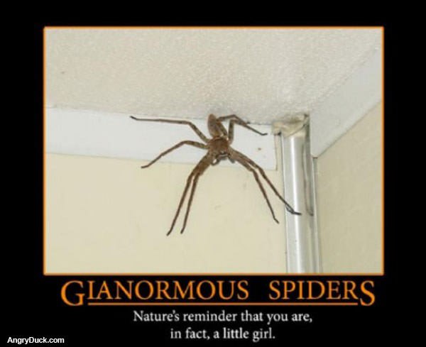 You Are a Little Girl