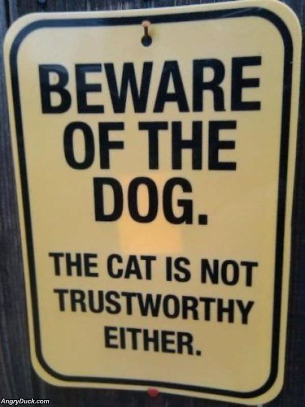 Beware Of The Dog