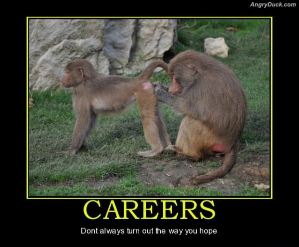 Careers
