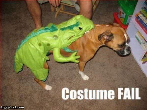 Dogs Costume Fail