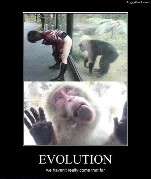 Evolution And Change