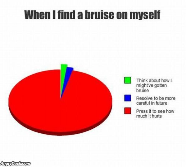 Find A Bruise