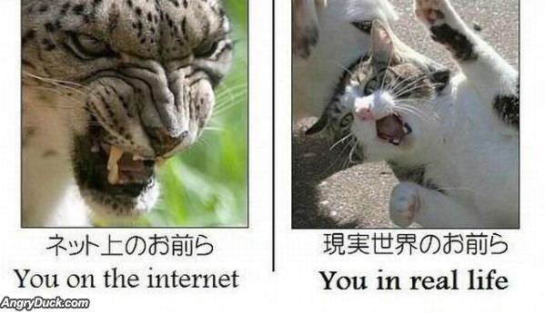 Internet Vs Real Life