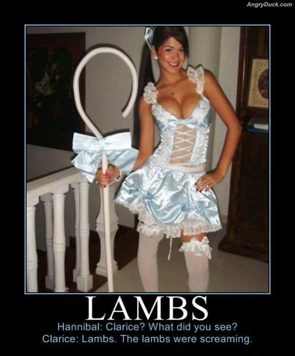 Lambs