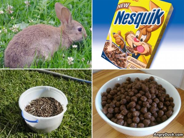 Nesquik
