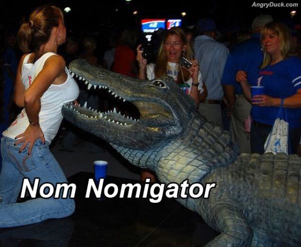 Nomigator