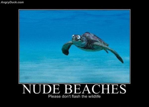Nude Beaches