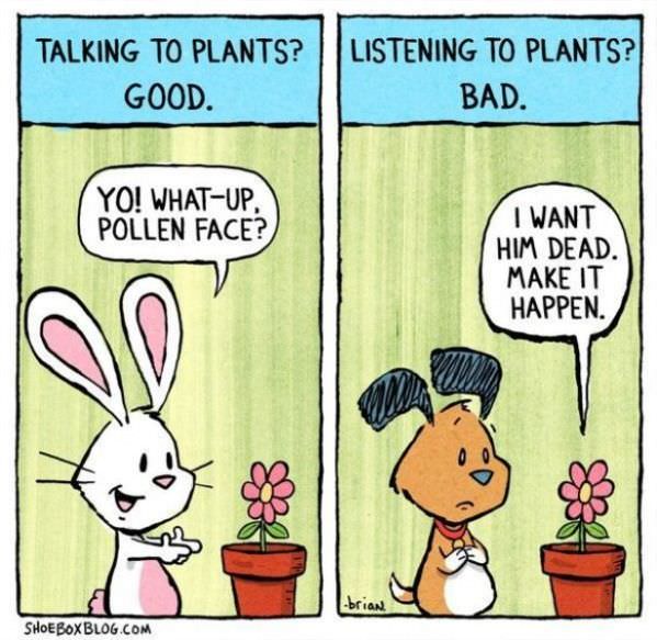 Plants Good And Bad