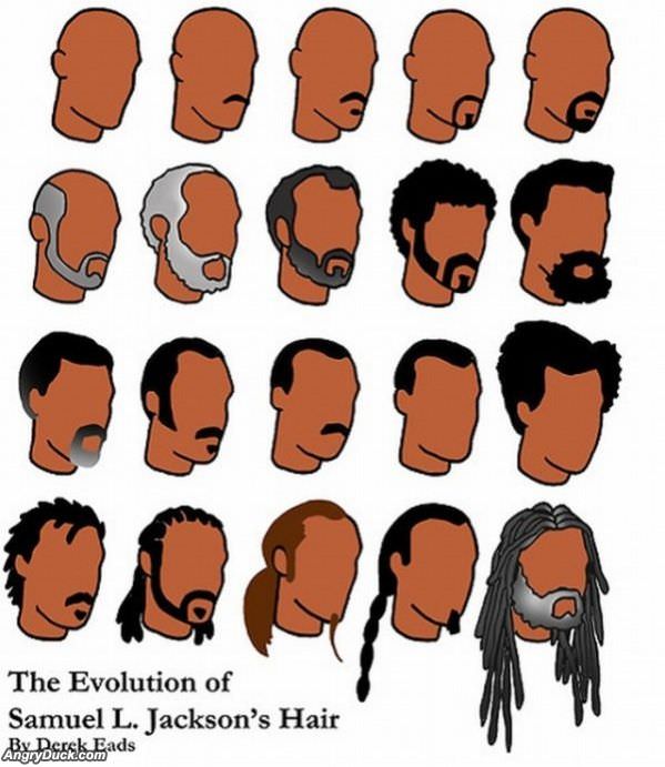 Samuel L Jacksons Hair