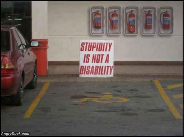 Stupidity