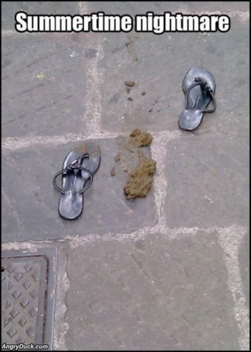Summertime Nightmare