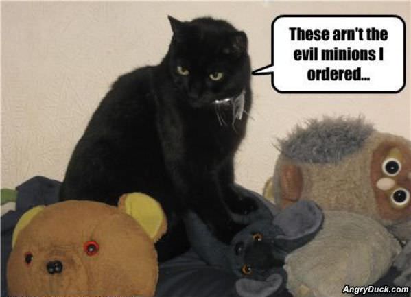 The Evil Minions