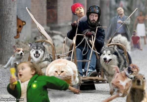 The Internet Is Here