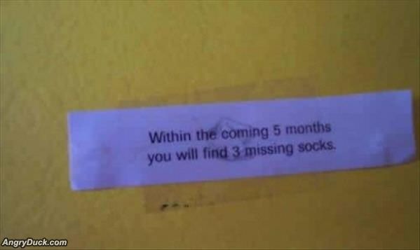 Within The Coming Months