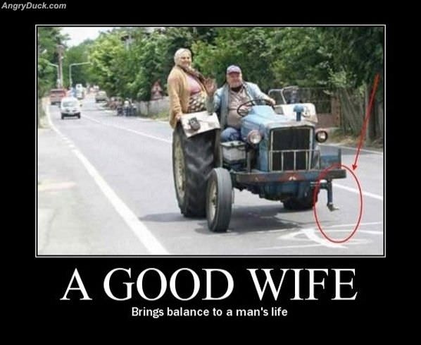 A Good Wife