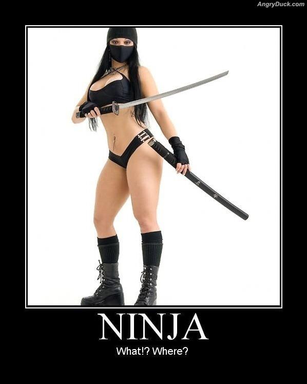 A Ninja