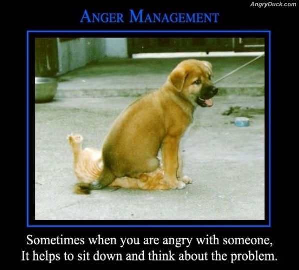 Anger Management