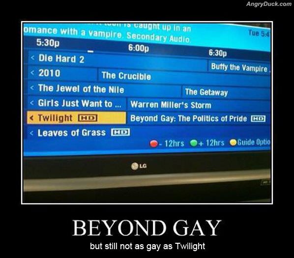 Beyond Gay